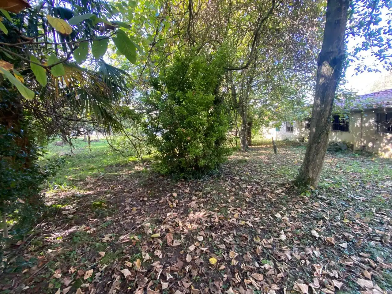 Finca rústica en venda en Elorrio