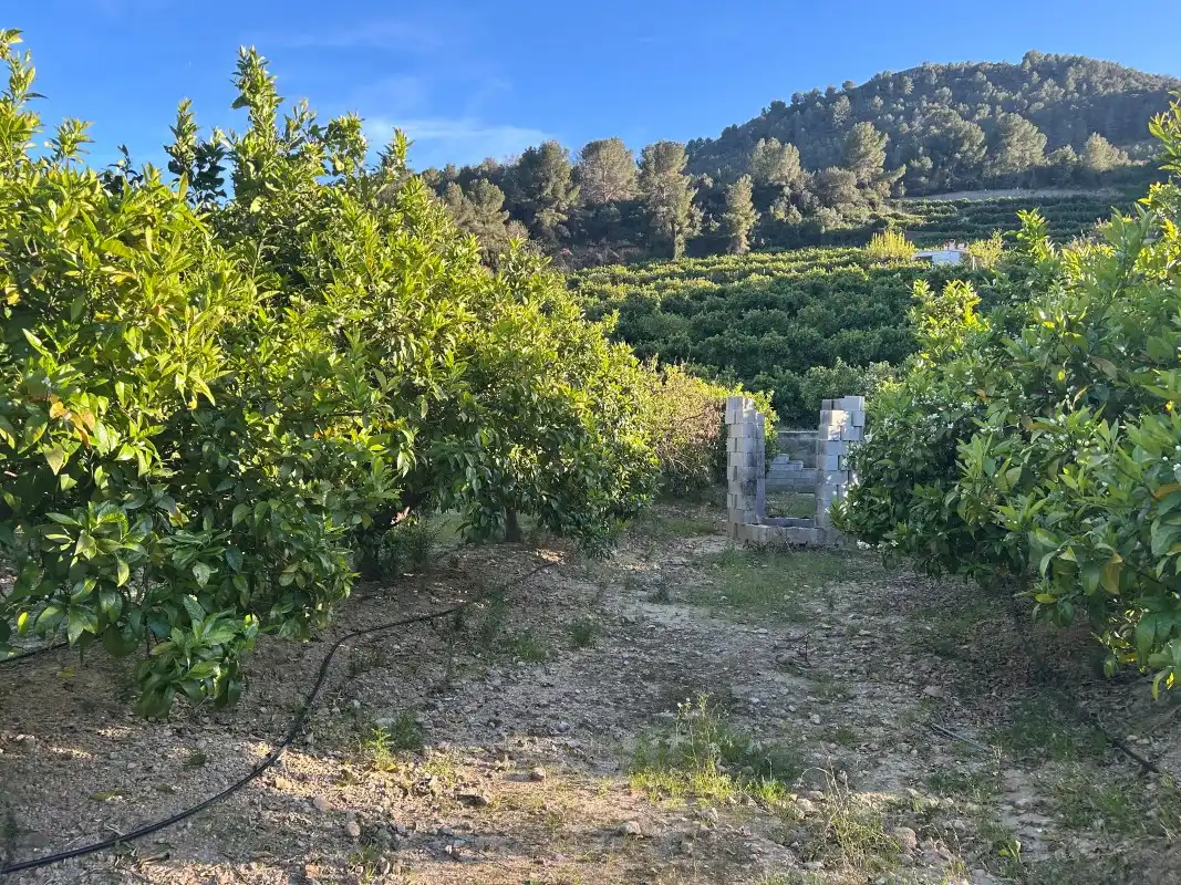 Finca rústica en venda en Oliva amb Moblat