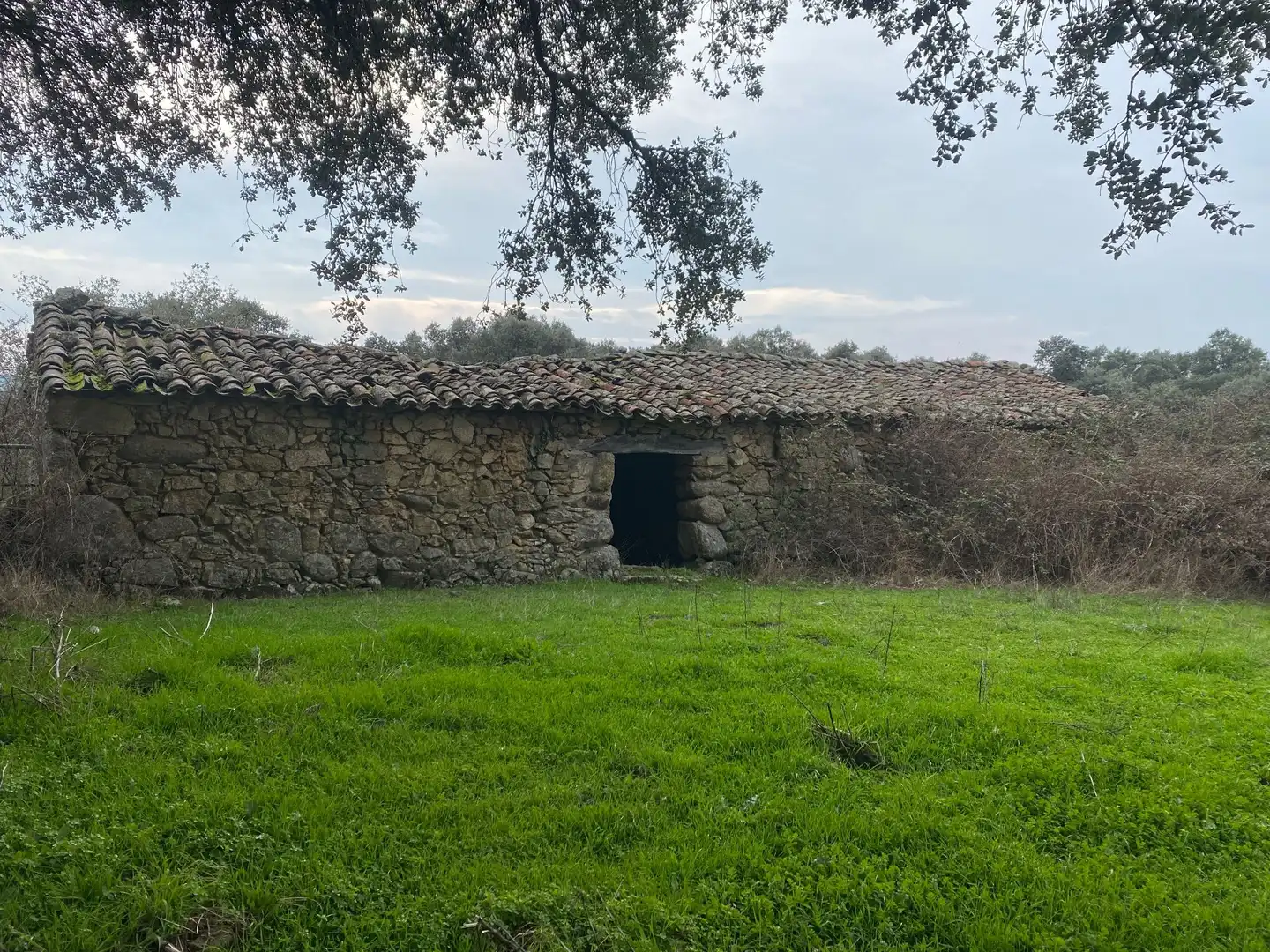 Terreni e lotti in vendita a Navamorcuende, imagen 11