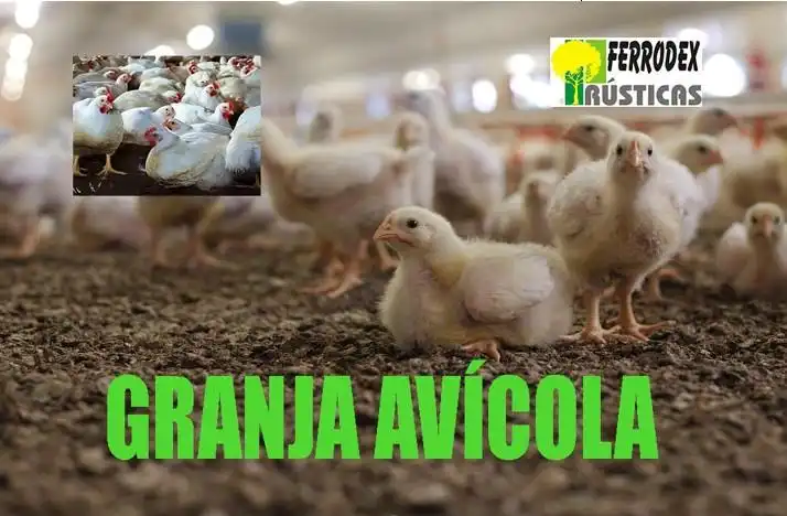 Terrenos y solares en venta en Pedanías - Extrarradio