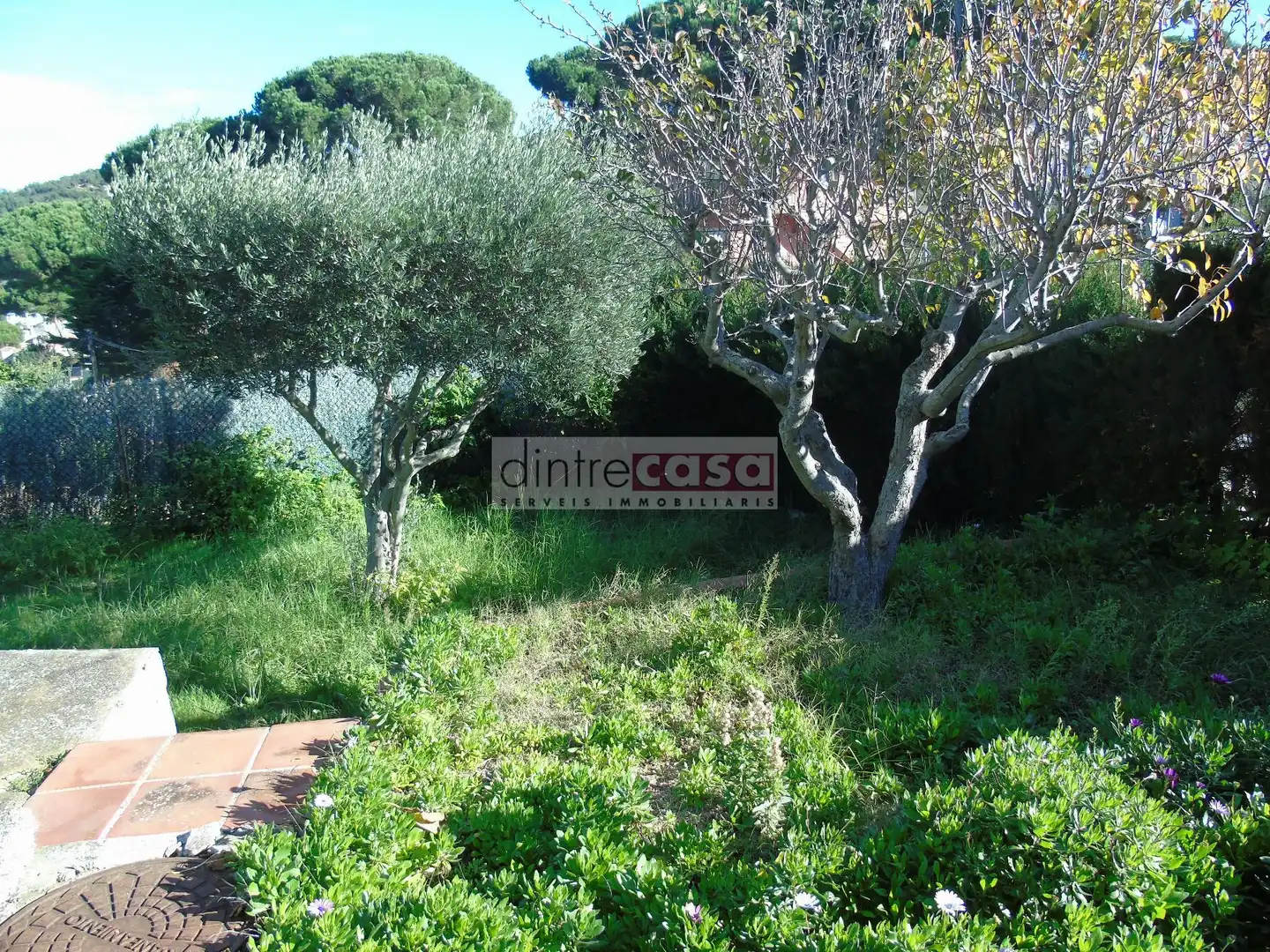 Casa o chalet en venta en Mas Mora - Sant Daniel