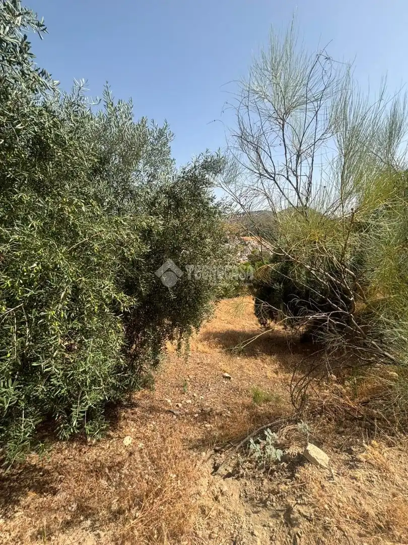 Land for sale in Quéntar