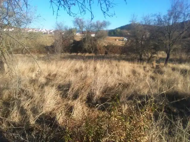 Residential land for sale in Espiel