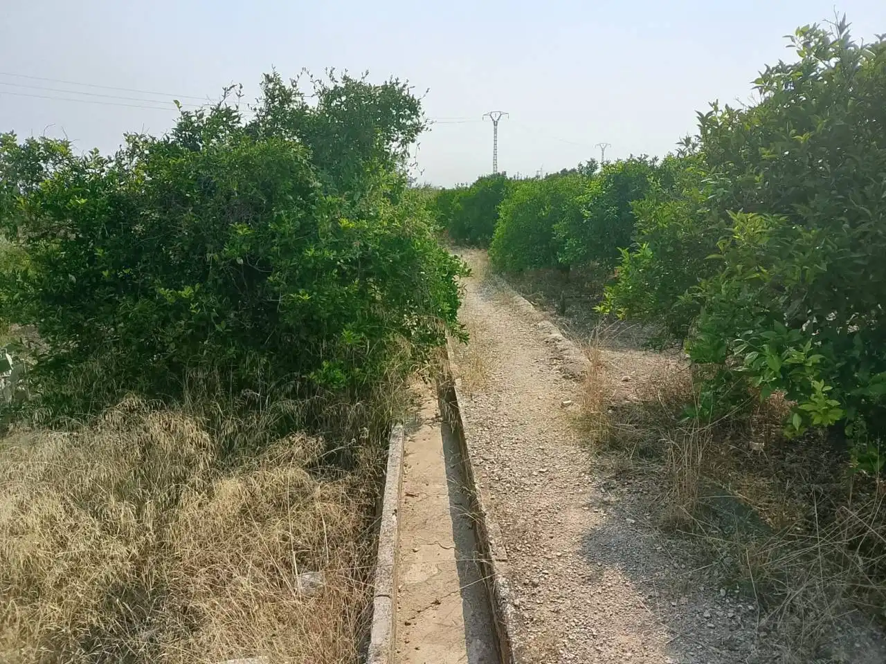 Rural land for sale in Calle Partida Alfas, imagen 6