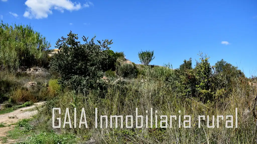Terreni e lotti in vendita a Maella, imagen 5