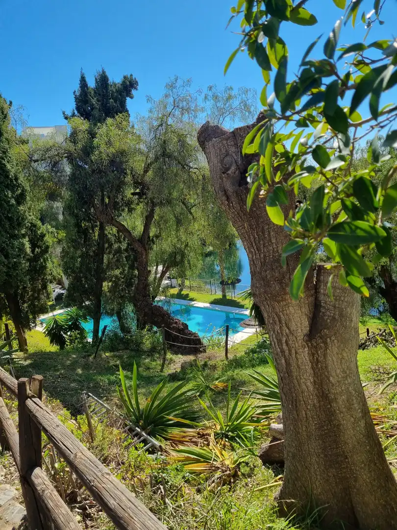 Apartament amb piscina en venda a Benahavís pueblo, imagen 2