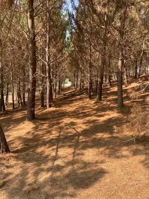 Vista exterior de Casa o xalet en venda en Carballo amb Terrassa i Forn