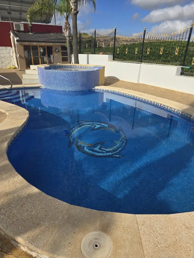 Piscina de Casa o xalet en venda en Molina de Segura amb Piscina comunitària