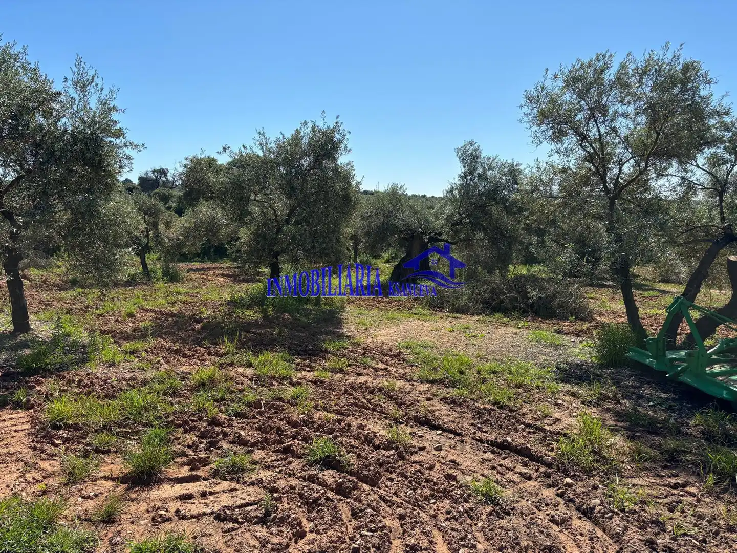 Casa rústica en venta en Montoro, imagen 22