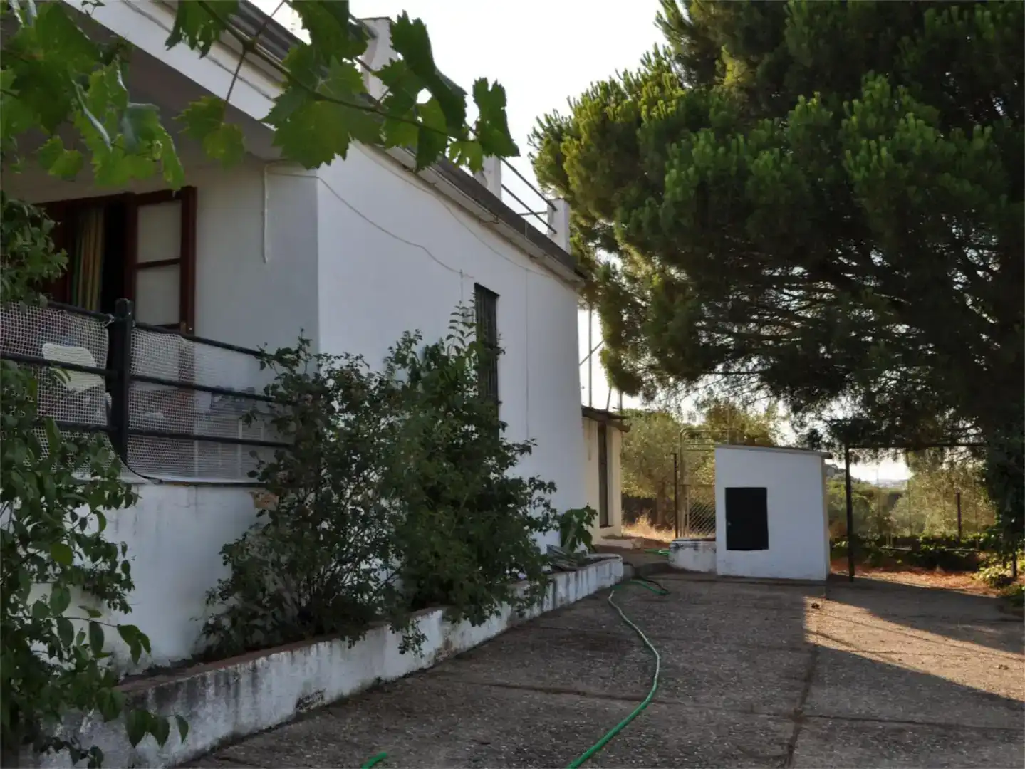 Vista exterior de Finca rústica en venda en Fuente del Arco