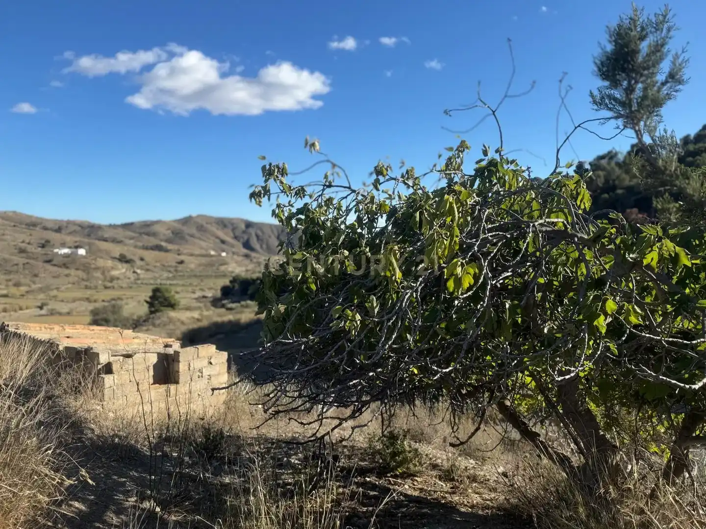 Casa o xalet en venda a BR RAMB-BANCALEJOVELEZ-RUBIO (ALMERÍA), -1, Vélez-Rubio