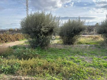 Terreno rustico in vendita a Calle Zona la Ñorica totana S/N