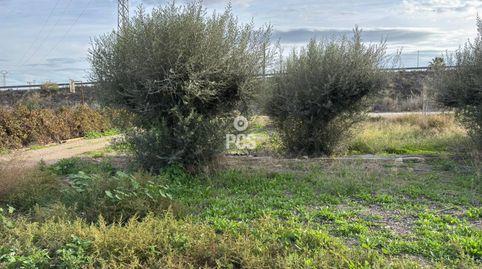 Venta de terreno en Totana