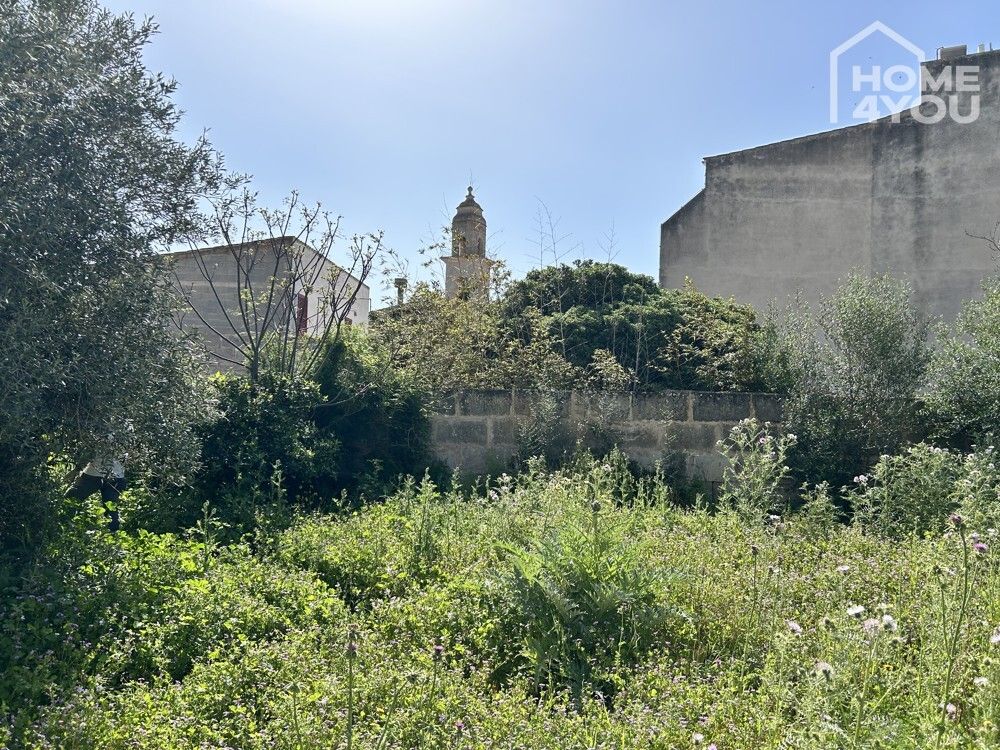 Residential for sale in Ses Salines