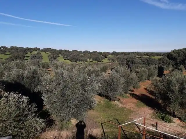 Terreny residencial en venda a Villanueva del Duque, imagen 2