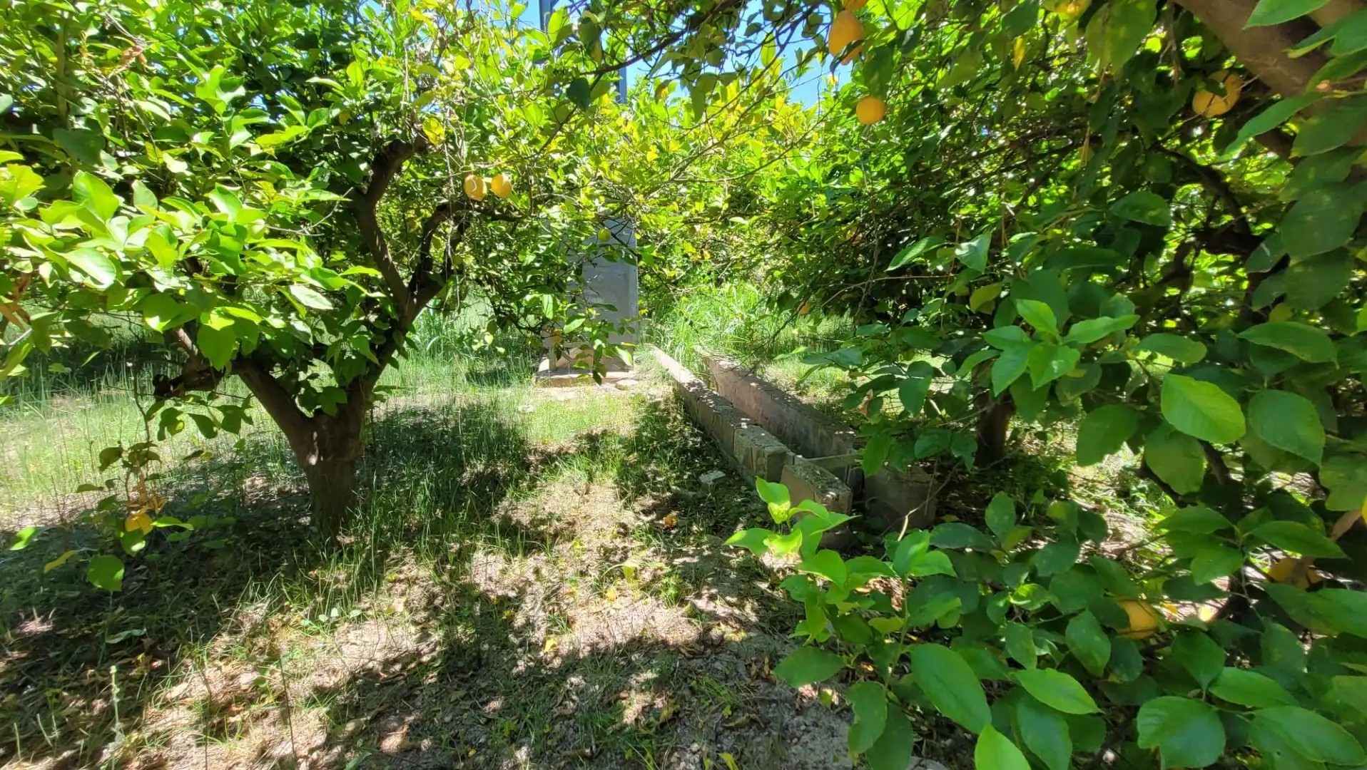 Terreno en venta en Murcia