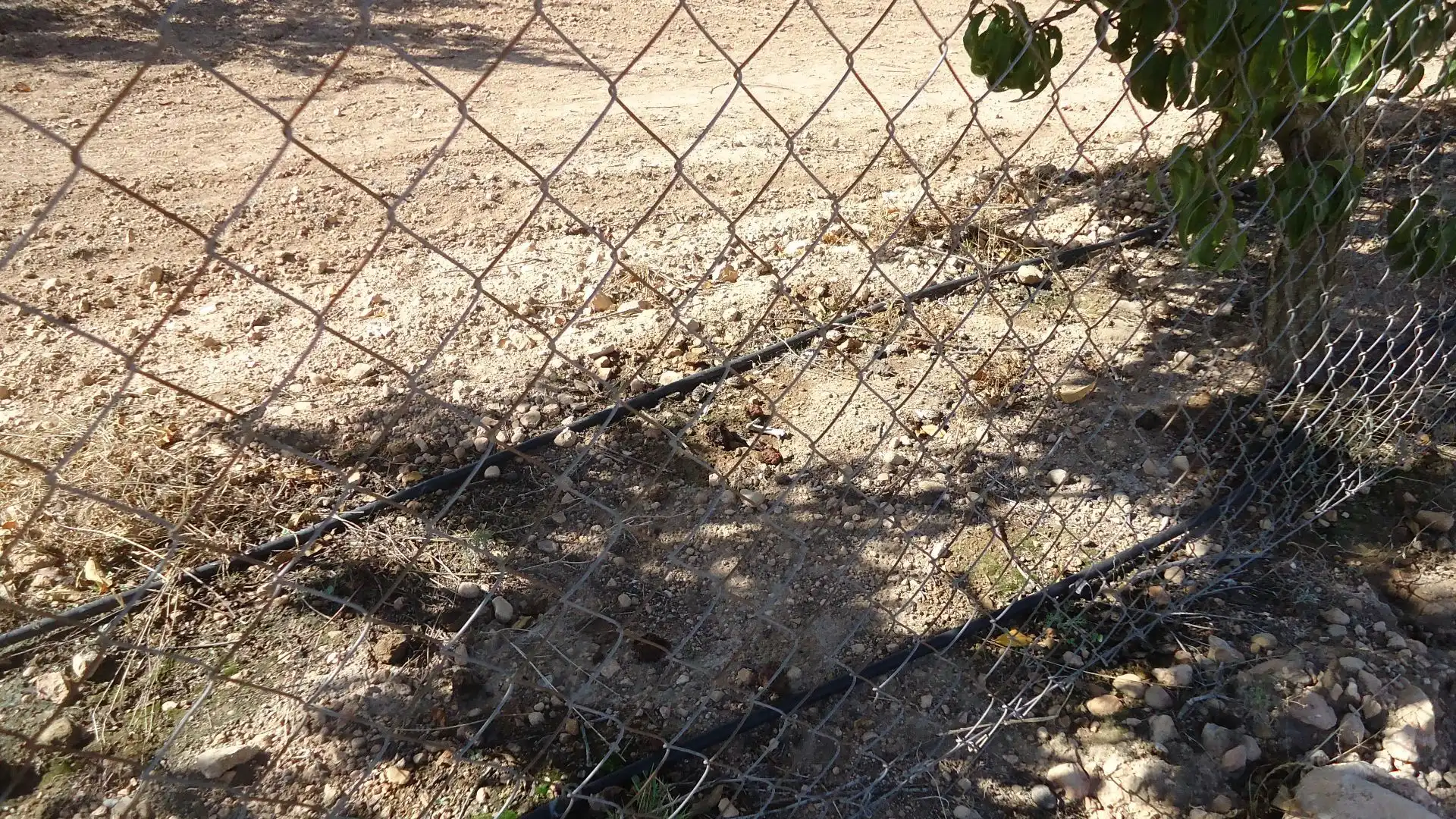Terreni e lotti in vendita a Yecla, imagen 5