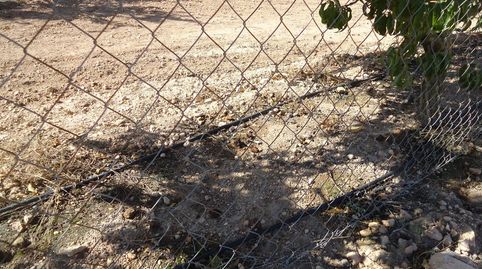 Finca de 14.275 m con melocotoneros y riego en Raspay, Yecla, immagine 5