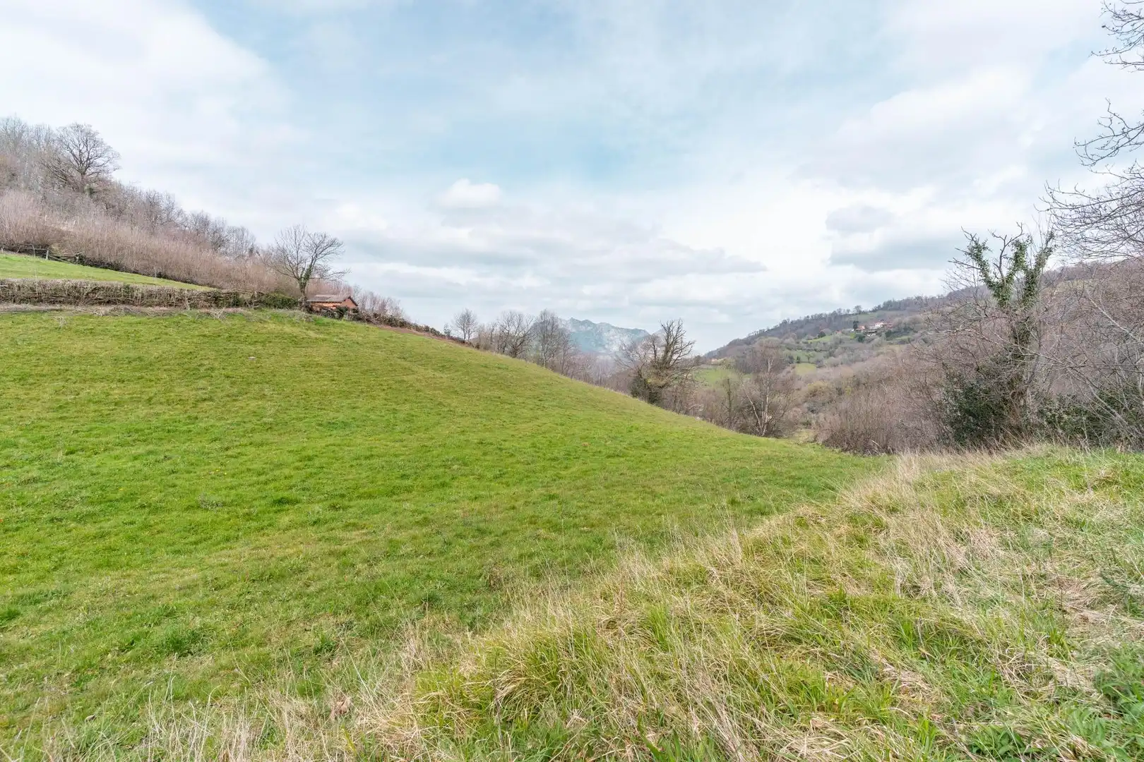 Land for sale in Riosa