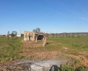 Finca rústica en venda en Petra amb Jardí privat i Piscina