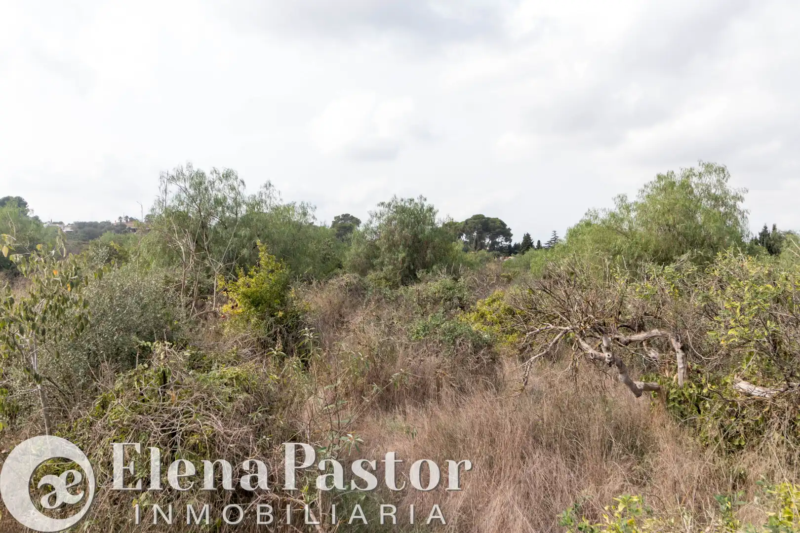 Casa o xalet en venda a Centro