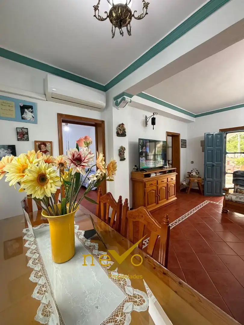 Sala de estar de Casa o chalet en venta en Carmona con Aire acondicionado, Jardín privado y Terraza