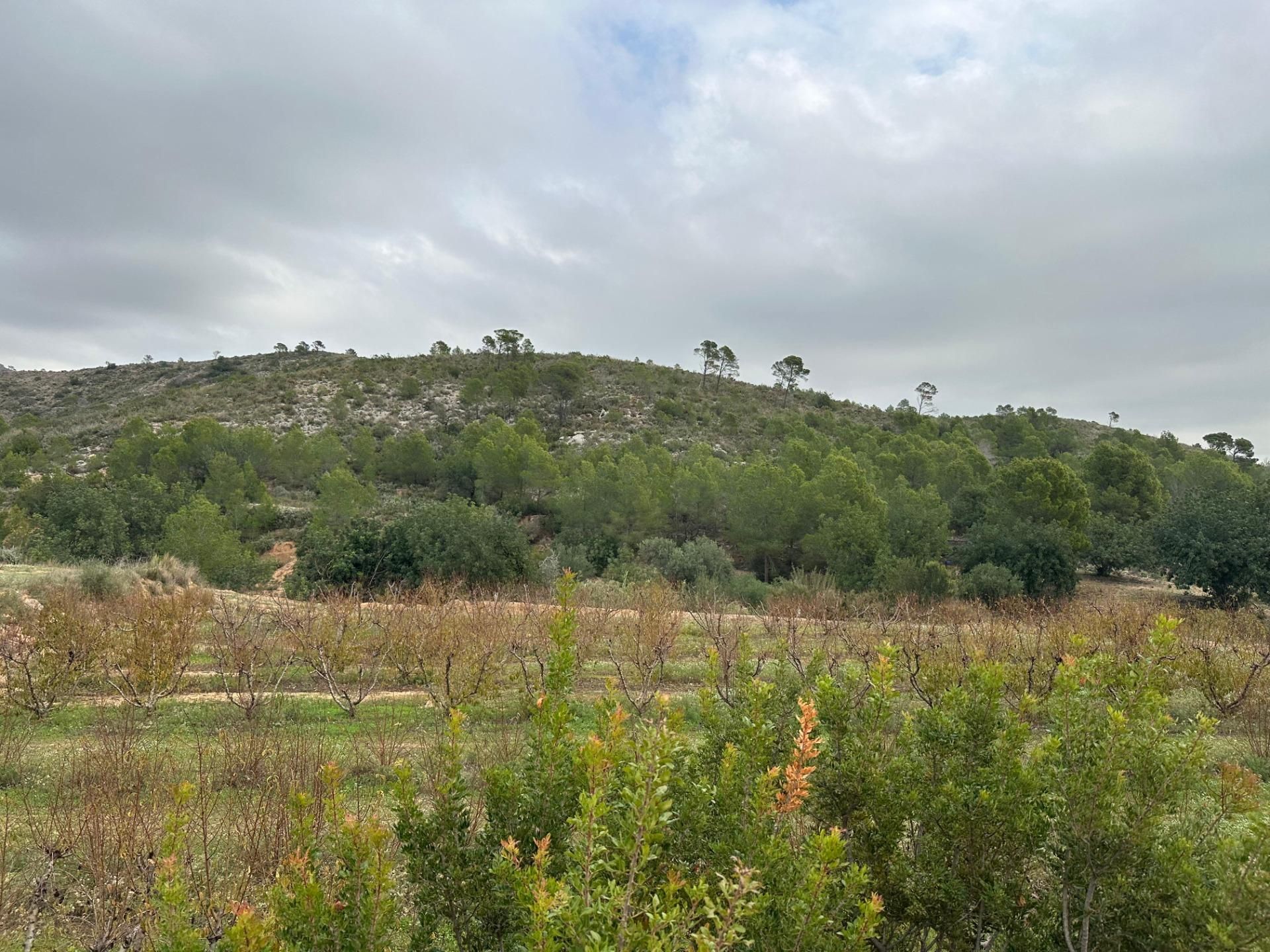 House or chalet for sale in Tous