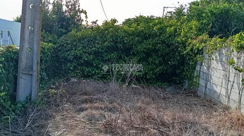 Foto 3 de Finca rústica en venda a Los Franceses – La Vega, Cádiz