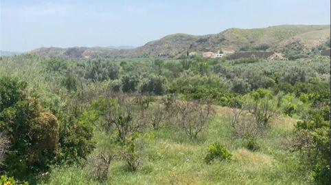 Foto 2 de Finca rústica en venta en Paraje Simones, 24, Albox, Almería