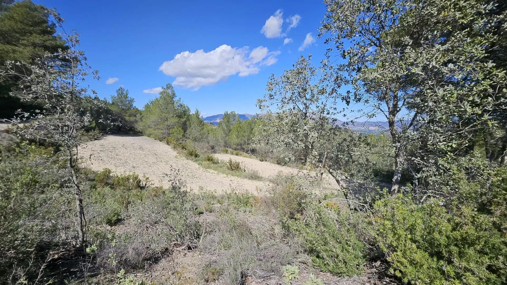 Terrain rustique à vendre à Millena, imagen 16