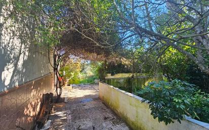 Garden of House or chalet for sale in Chiclana de la Frontera  with Private garden and Swimming Pool