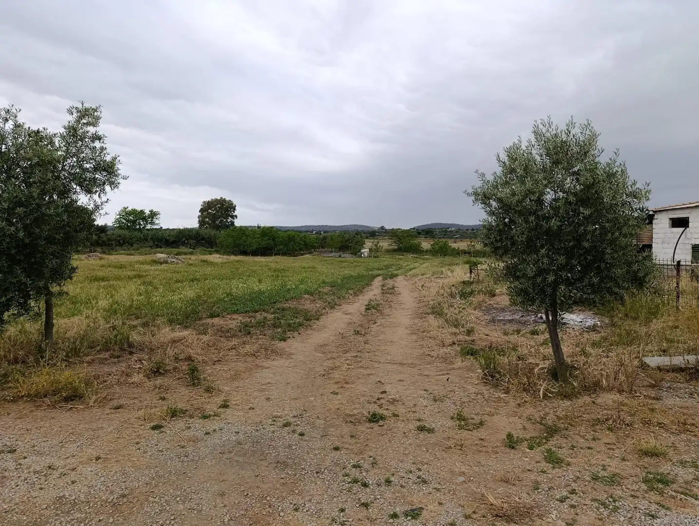 Finca rústica en venta en Zalamea de la Serena