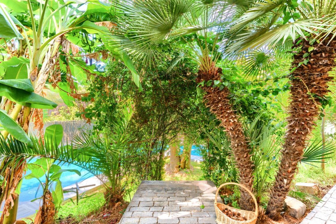 Garden of House or chalet for sale in Vilanova i la Geltrú  with Air Conditioner, Private garden and Terrace