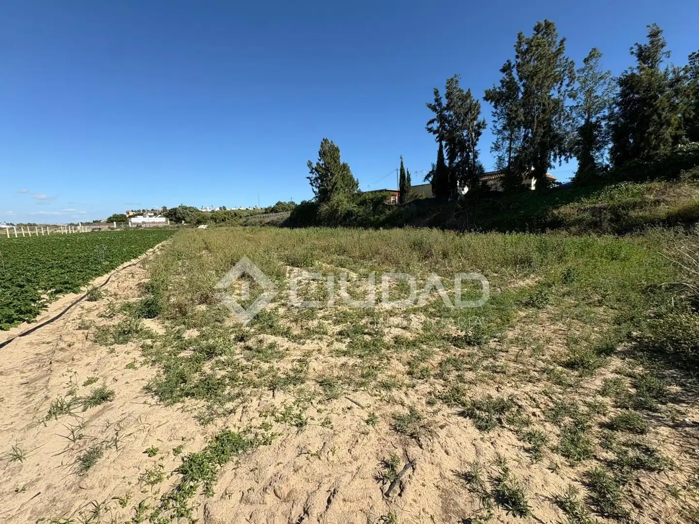 Terreno en venta en Sanlúcar de Barrameda