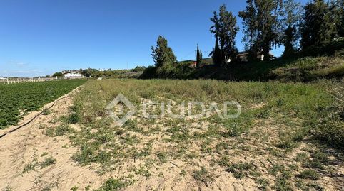 Foto 5 de Terreno en venta en Bonanza - Avda de Huelva - Barrio Andalucia, Sanlúcar de Barrameda