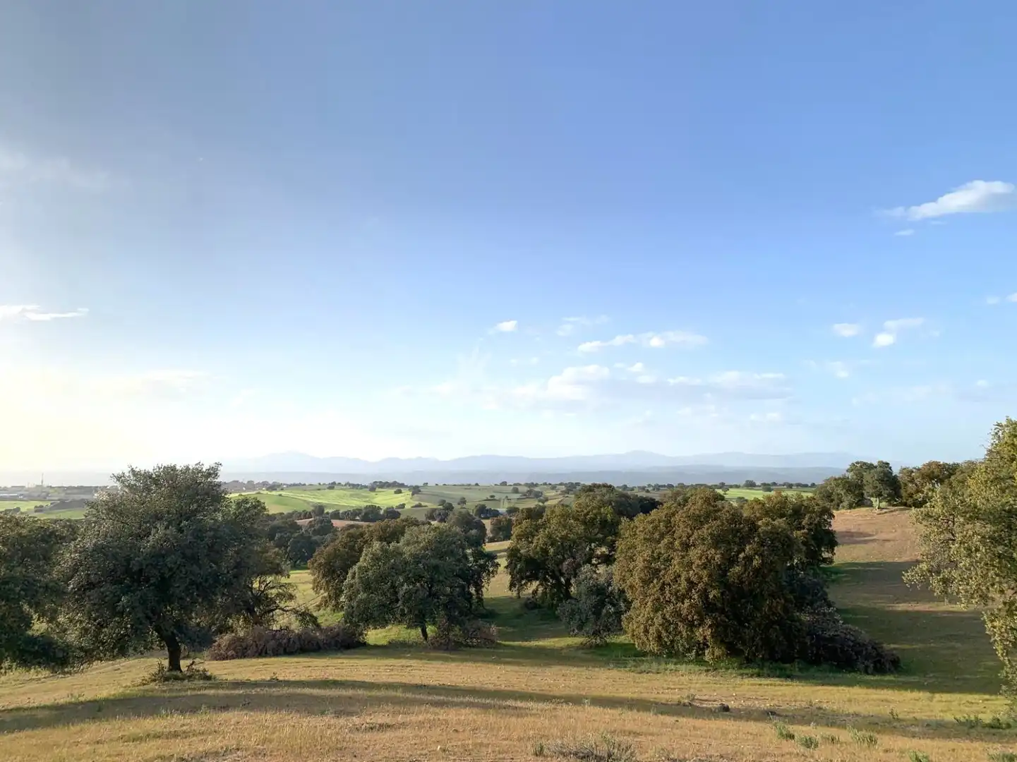 Terreno residenziale in vendita a Villanueva de Perales, imagen 11