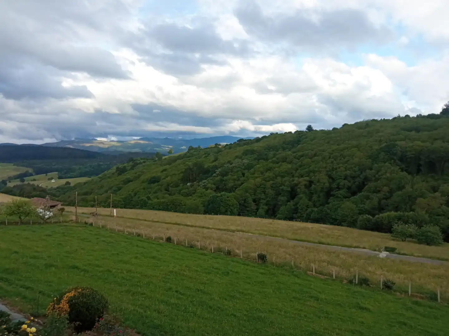 Vista exterior de Finca rústica en venta en Tineo con Jardín privado, Parquet y Terraza