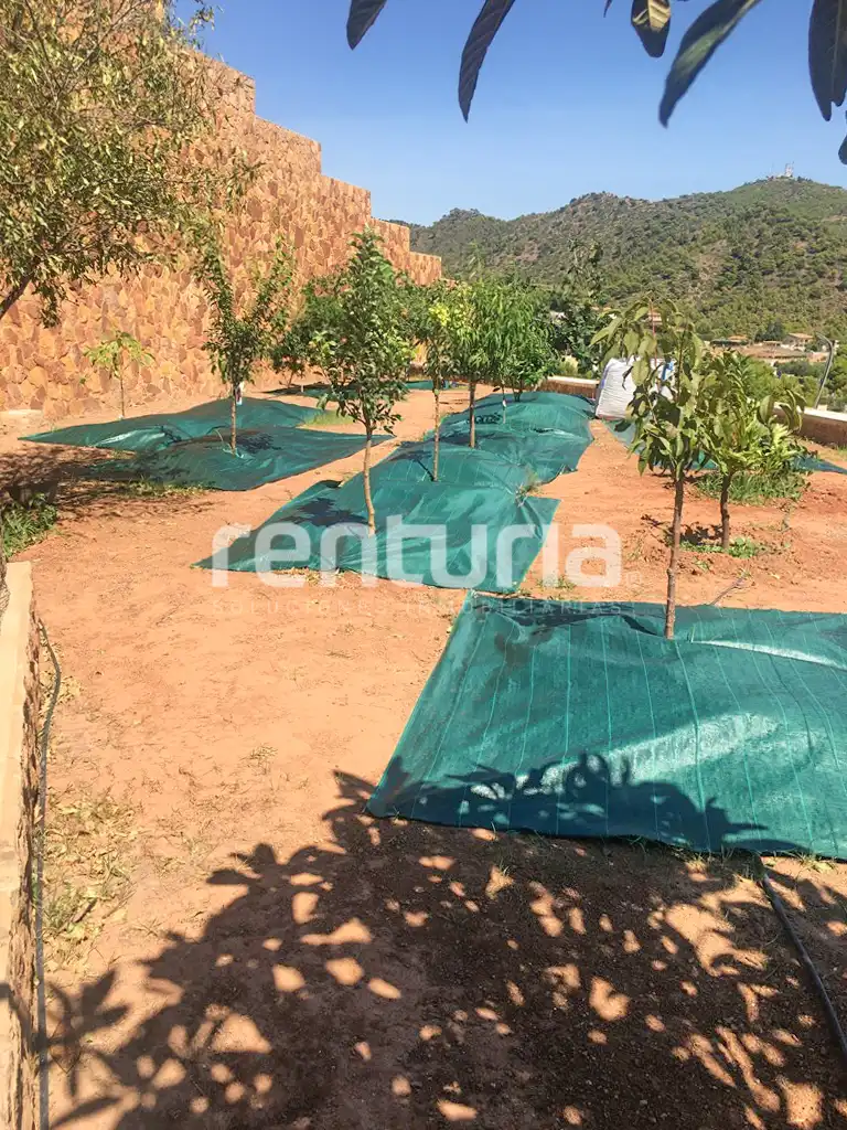 Terreno residenziale in vendita a Carrer Serrans, imagen 21