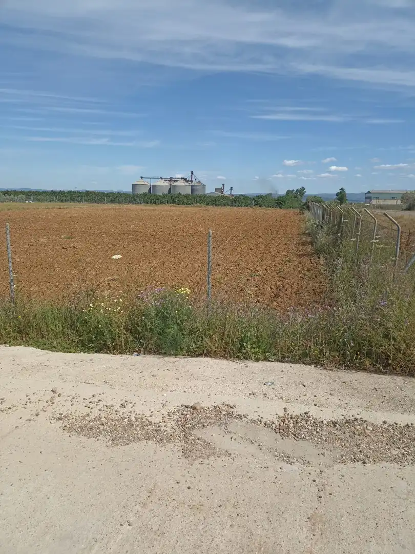 Terreny rústic en venda a Fuente Palmera, imagen 2