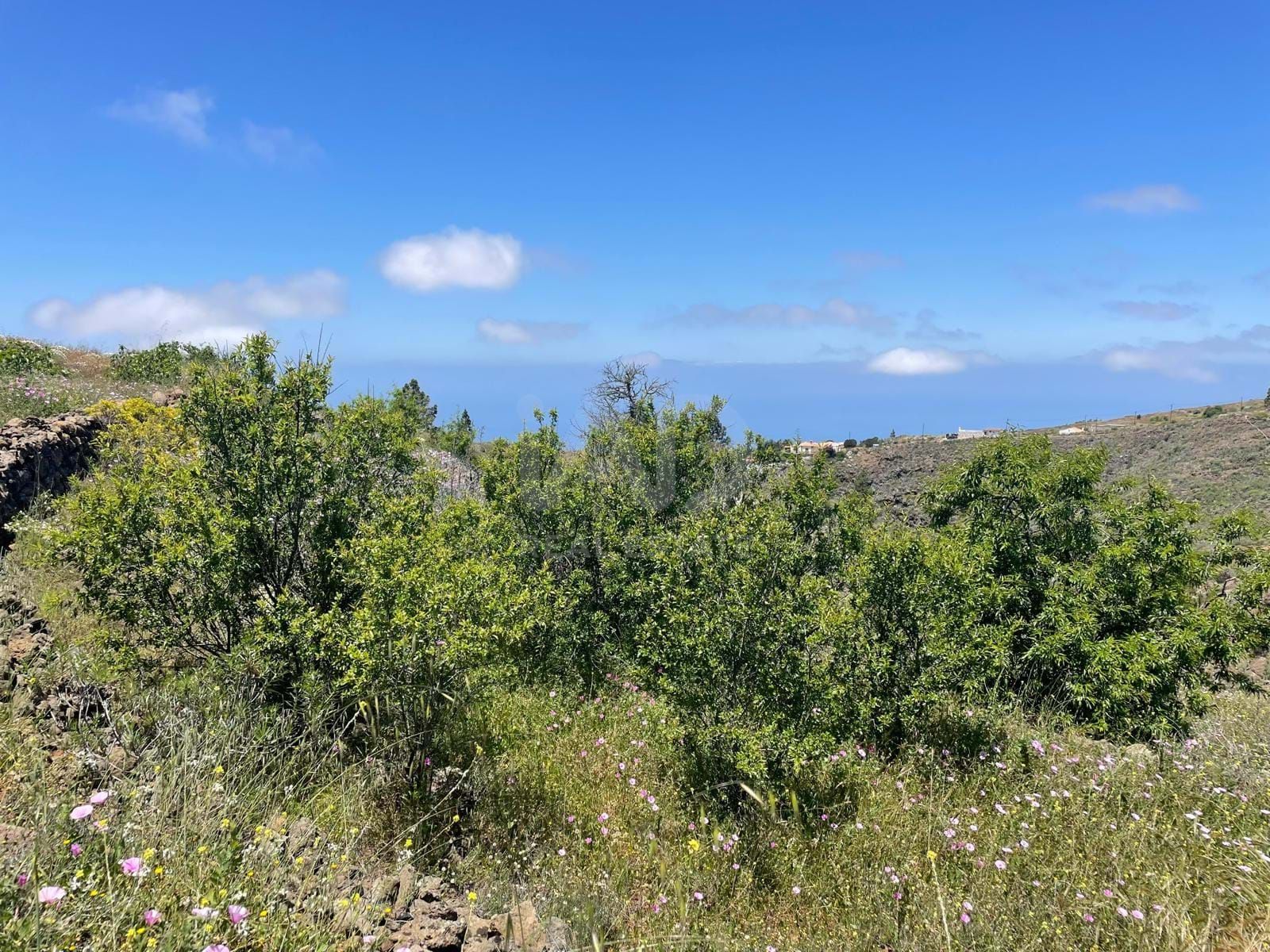 Residential for sale in Adeje