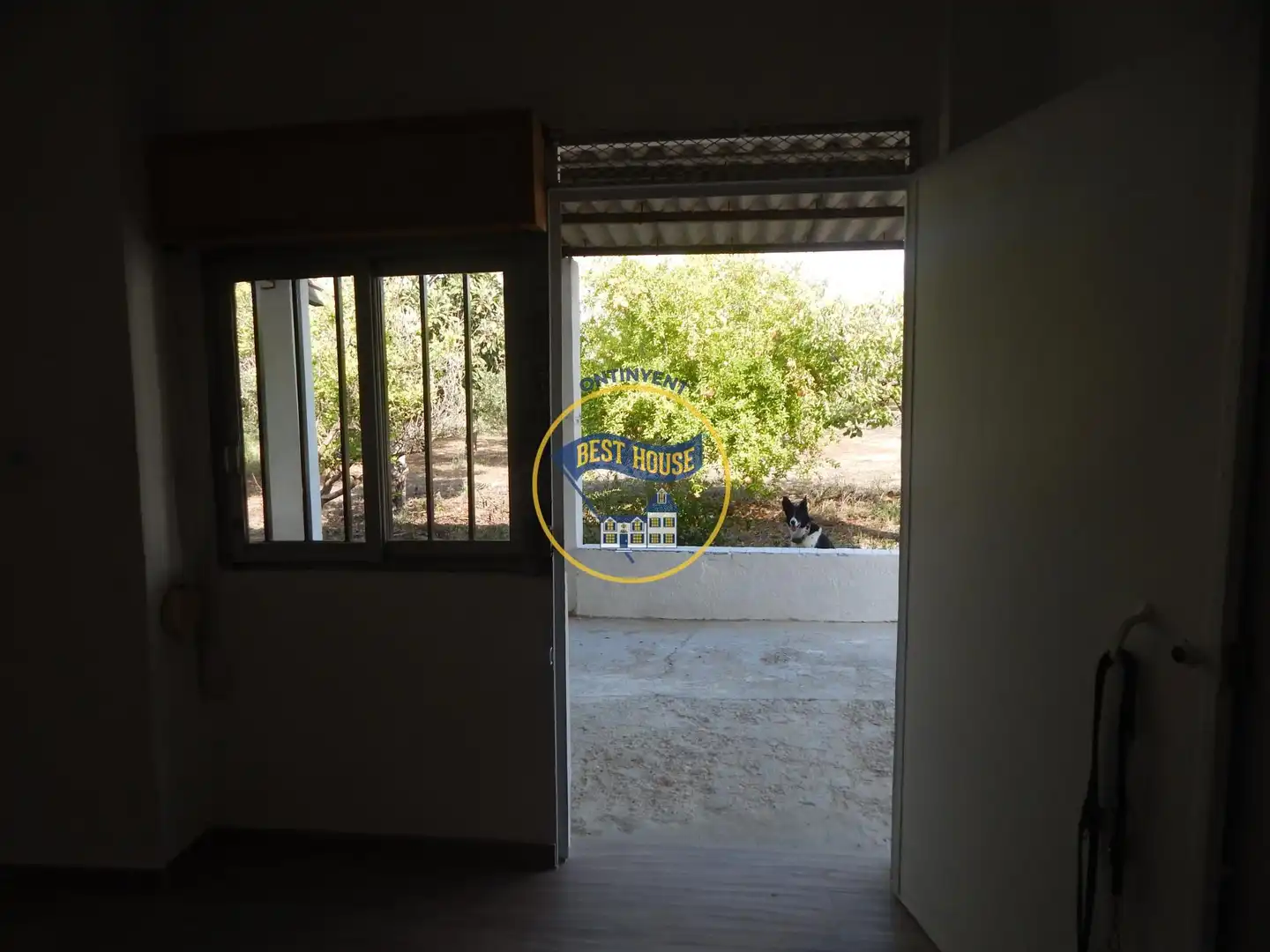 Villa avec jardin à vendre à Sant Josep - Zona Hospital, imagen 21