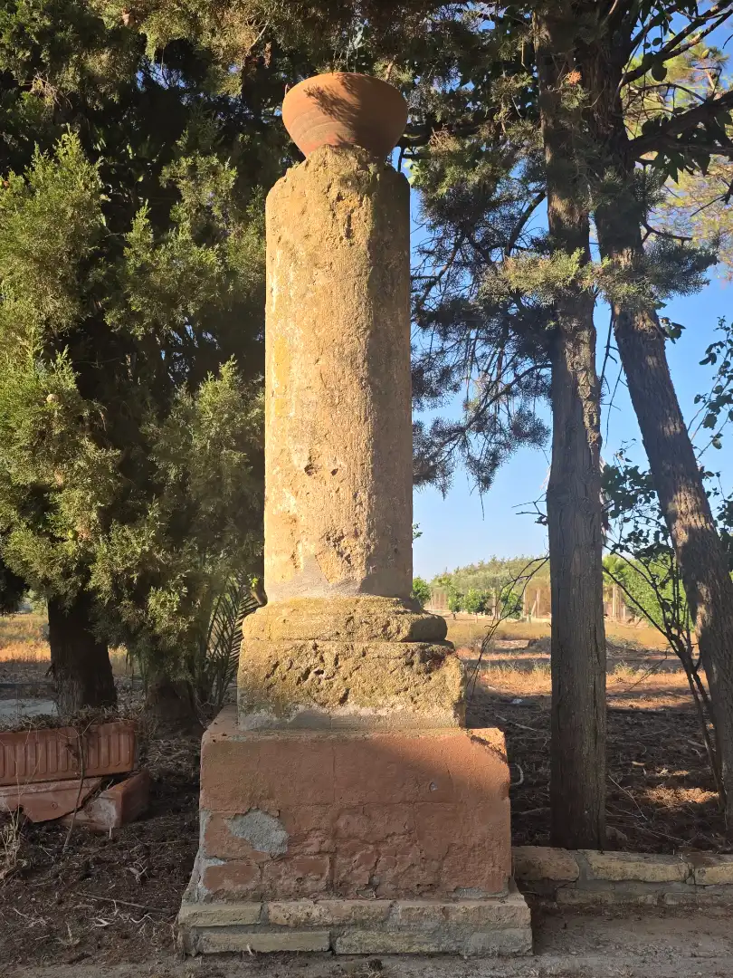 Terreni e lotti in vendita a Pedanías Norte, imagen 59