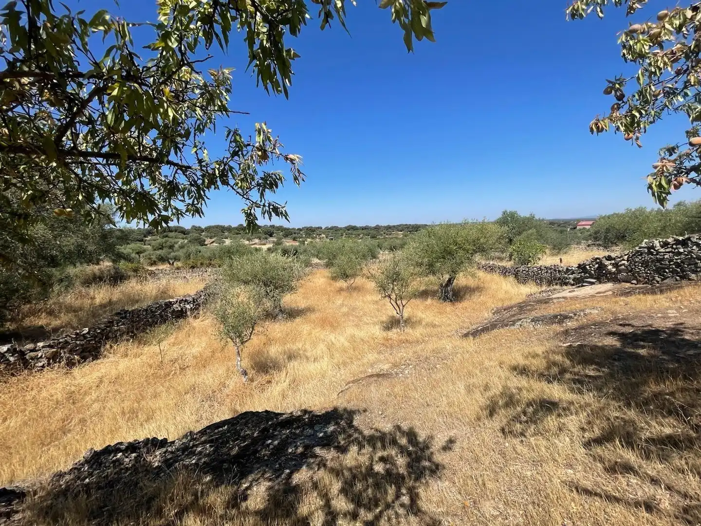 Terreni e lotti in vendita a Valdefuentes, imagen 9