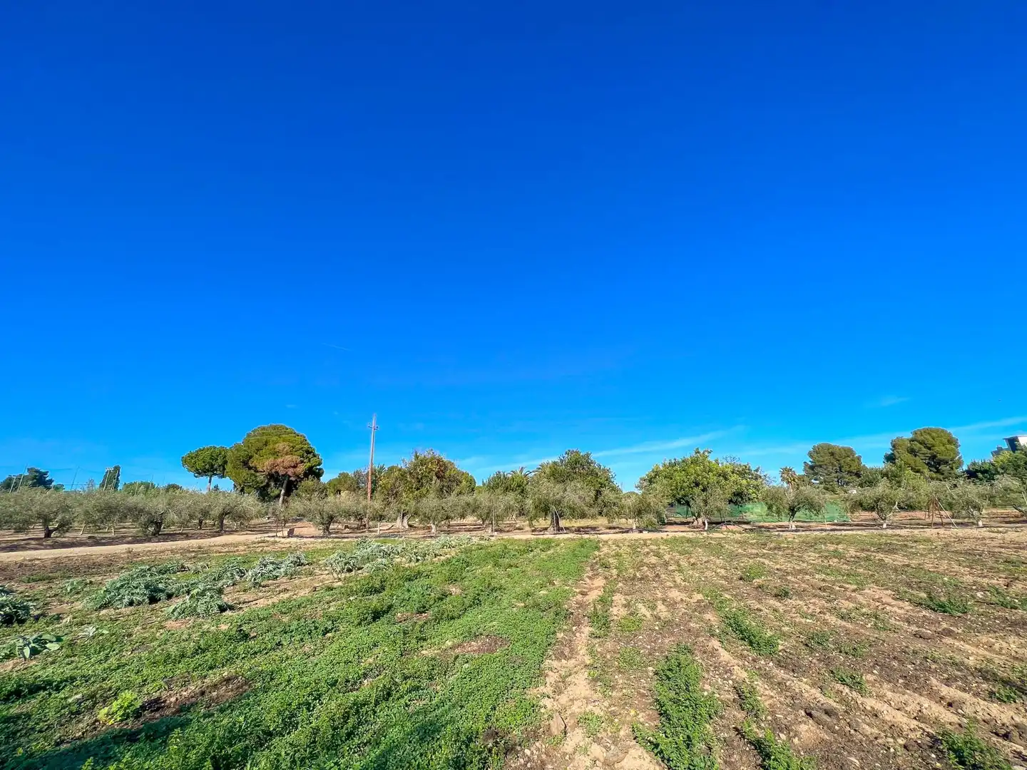 Terreny residencial en venda a POLIGONO 12, imagen 25