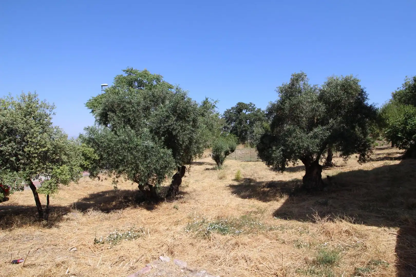 Wohnbaugrundstück zum Verkauf in Albaicín, imagen 13