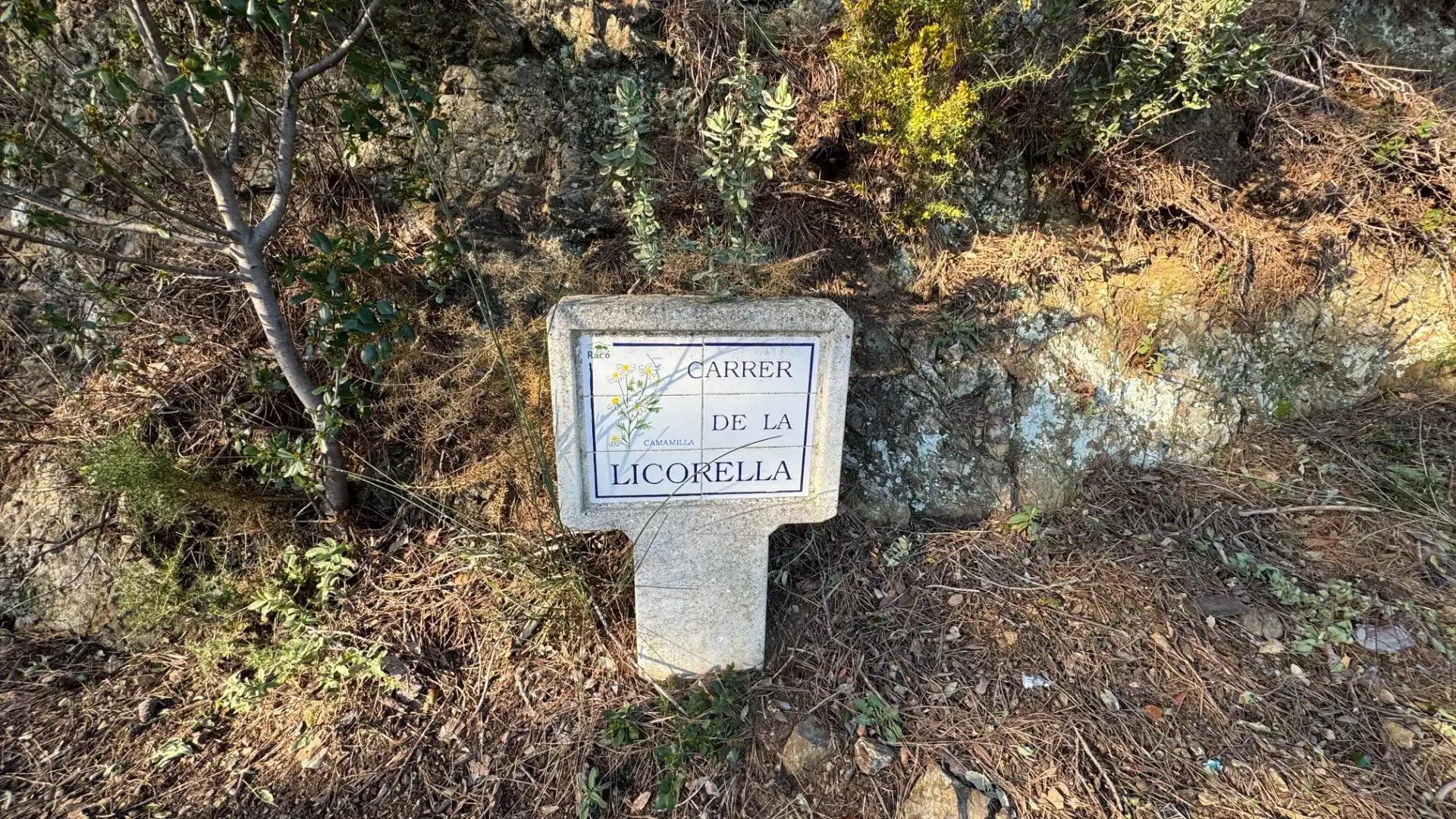 Terreno residenziale in vendita a Carrer de la Llicorella, imagen 4