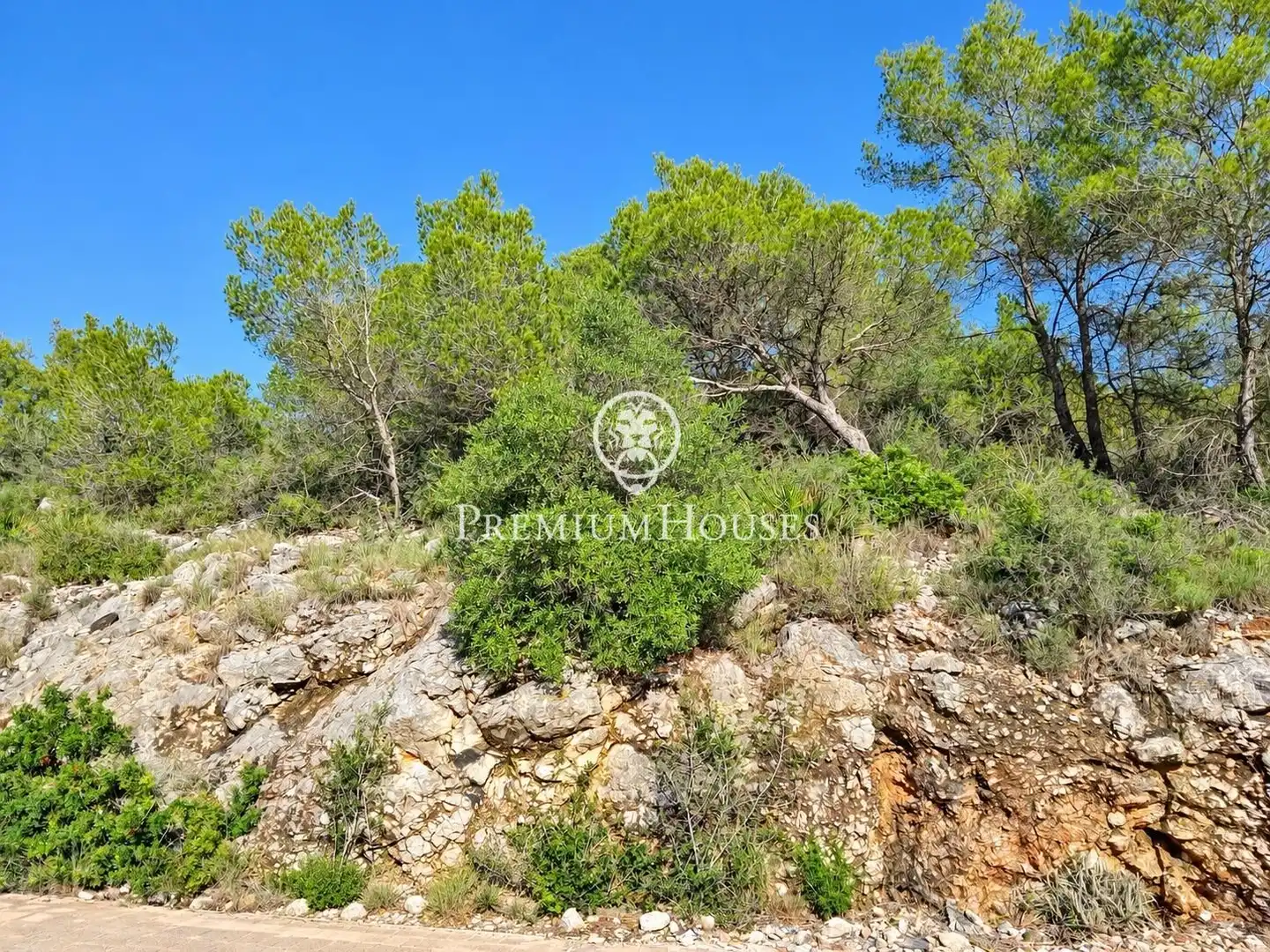 Residential land for sale in Mas Alba, imagen 16