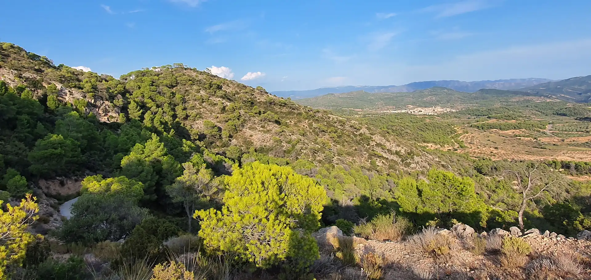 Wohnbaugrundstück zum Verkauf in El Pinell de Brai, imagen 25