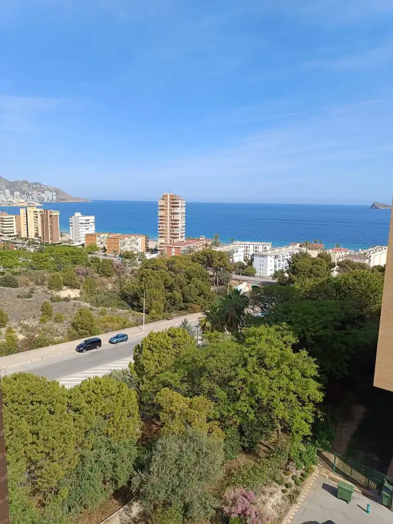 Ático con piscina en venta en Avinguda Marina Baixa