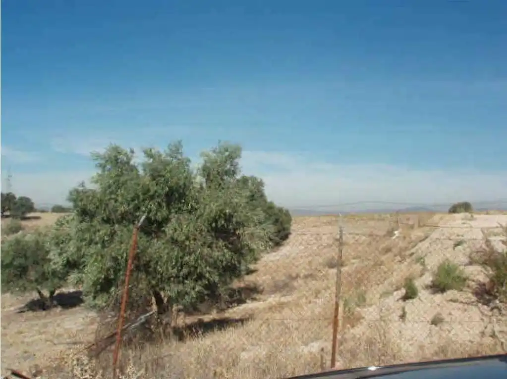 Terreno en venta en Sevilla la Nueva